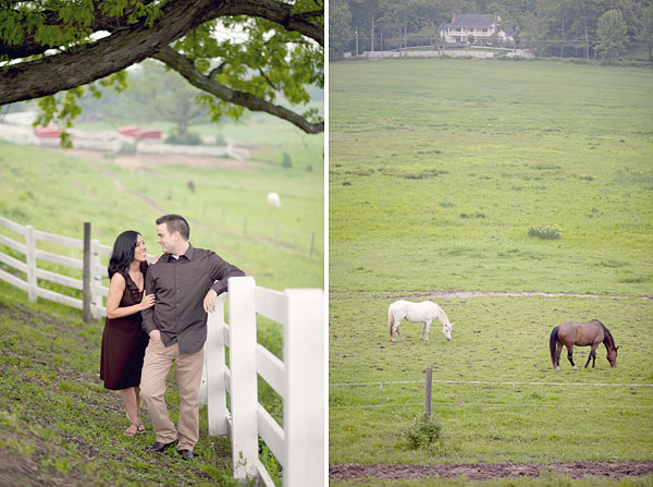 UConn, Horse Barn Hill, Storrs, CT Wedding Engagement Pictures Photos, Victoria Souza Photography, open field, horse, farm, rustic Best CT Wedding Photographer