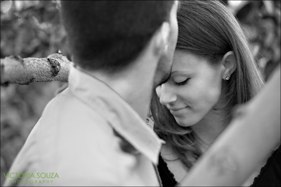 CT Wedding Photographer, Victoria Souza Photography, Roger's Orchards, Southington, CT Engagement Wedding Portrait Photos