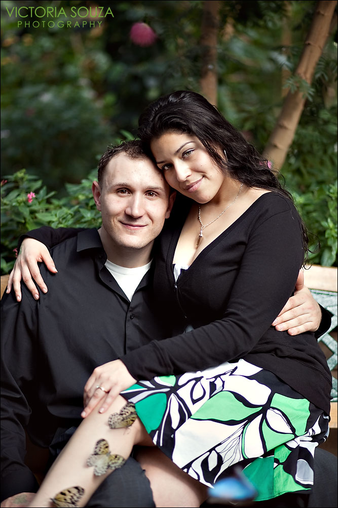 CT Wedding Photographer, Victoria Souza Photography, Magic Wings, South Deerfield, MA Engagement