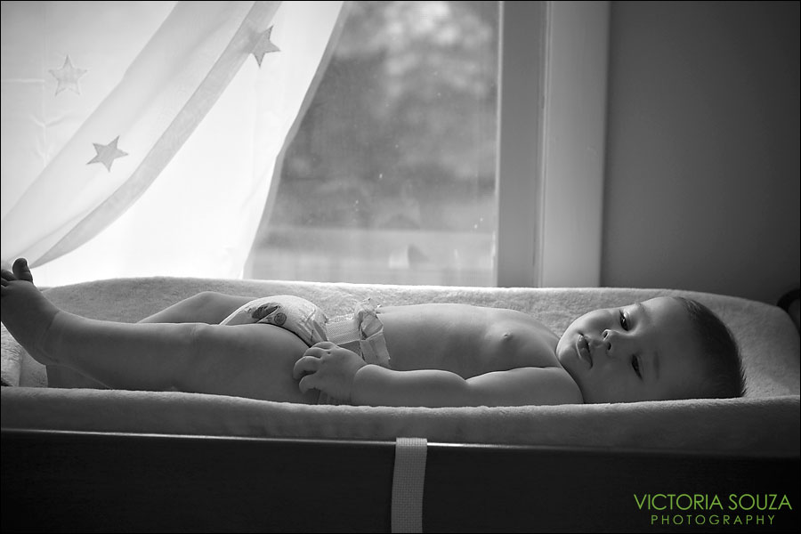 CT Baby Infant Wedding Photographer, Victoria Souza Photography, Hamden, CT Baby Infant Newborn Bath Flower Portrait Photos