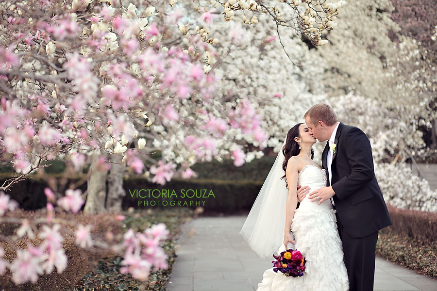 Palm House, Brooklyn Botanical Gardens, Celebrity Wedding Pictures Photos, Victoria Souza Photography, Best Napa CA Manhattan Photographer, CT Wedding Photographer