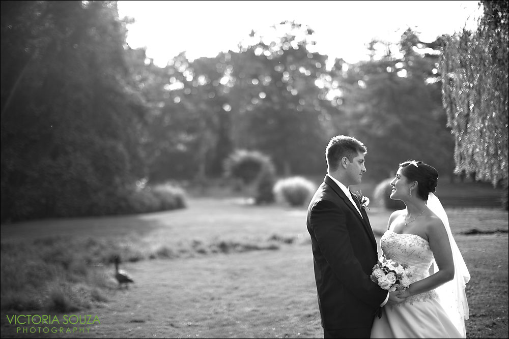CT Wedding Photographer, Victoria Souza Photography, St Patrick St Anthony Church, Hartford, CT Aquaturf, Plantsville, CT, Wedding
