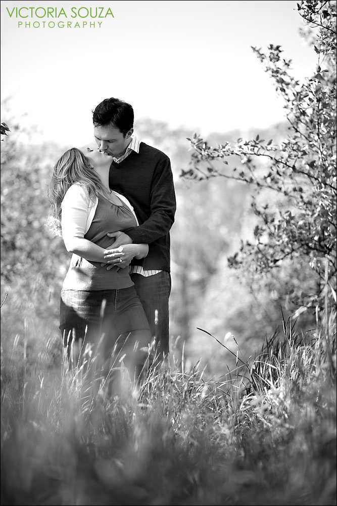 CT Wedding Photographer, Victoria Souza Photography, Ragged Hill Orchard, West Brookfield, MA, Wedding Engagement Portrait Photos